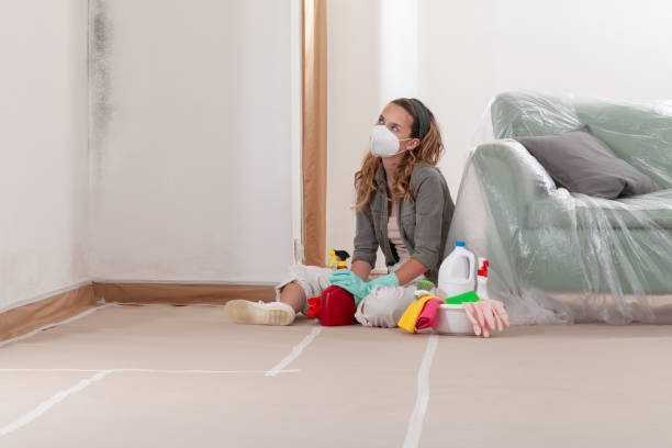 Reliable Mold Remediation contractor in Greensboro, NC by Cheap Mold Removal