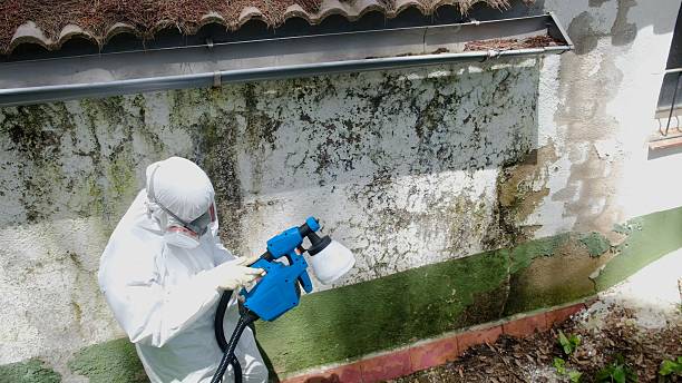 Trusted Commercial Mold Remediation service in Greensboro, NC - Cheap Mold Removal